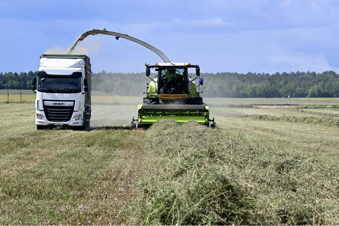 alfalfa being harvested in a field in France